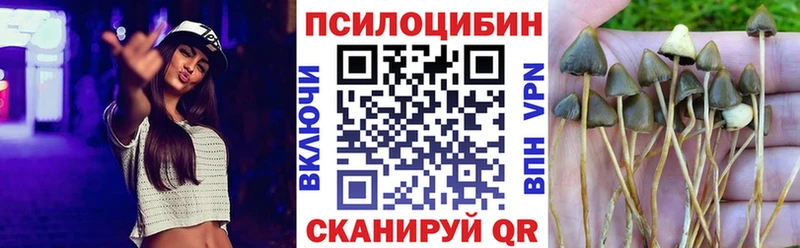 Галлюциногенные грибы ЛСД  Боготол 