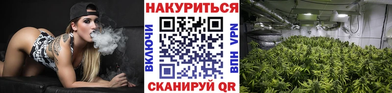Марихуана семена  Боготол 